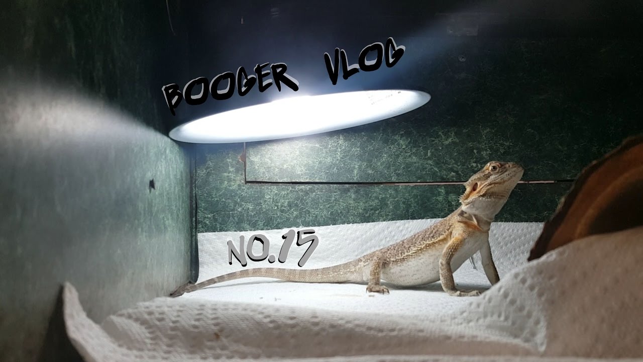 Booger Vlog no.15