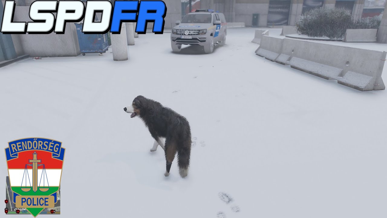 KUTYÁS SZOLGÁLAT 🐕🔵  GTA V LSPDFR #40 