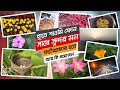 হাতে শাওমি ফোন সাথে সুন্দর মন, ফটোগ্রাফার হতে আর কি প্রয়োজন...