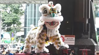 Singapore Yiwei Athletic Association Lion Dance 新加坡藝威體育會 Champion