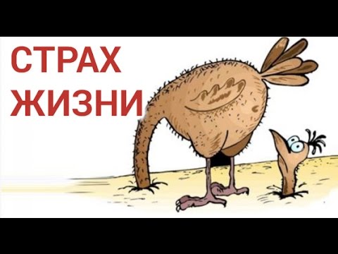 КАК ПРЕОДОЛЕТЬ СТРАХ ЖИЗНИ - СОВЕТЫ ПСИХОЛОГА