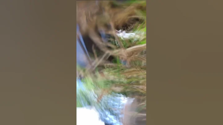 I was setting my phone somewhere and this happened...