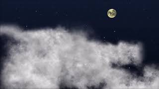 The Fence - STARS