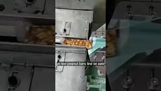 Chikki Packing Machine Servo Model #machine #food #business  #industrialmachine #packingmachine