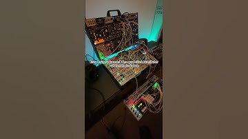 Polyrhythmic Groove #modular #ericasynth #4ms #intellijel #makenoise