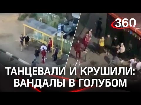 В Голубом хулиганам помешала остановка