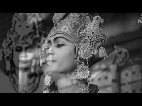 BIRDS Of BRITAIN Just Because You Re Strong 