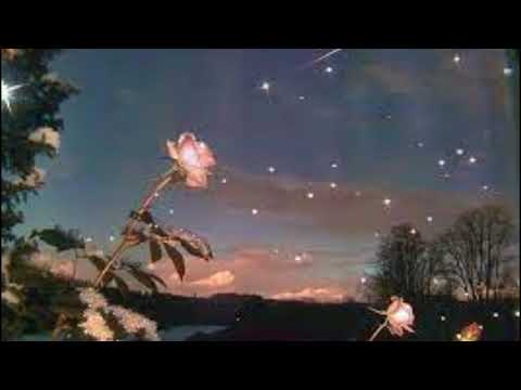 ("Always Here")[SOLVED : cj mkh -  ("Always Here")[SOLVED : cj mkh - hold me close (extended mix)]