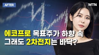 [이수연의 AFTER]  에코프로 목표주가 하향 속그래도 2차전지는 바닥? / 머니투데이방송 (증시, 증권)