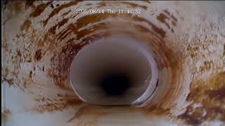 20250814 - Domschot - Reinspect