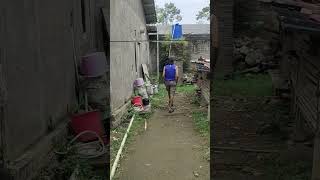 moal baleg datang si etamah #shortvideo #moalbaleg #funny #hiburan