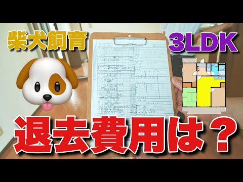 【引っ越し前の確認に！】LEAF流退去立会いをお見せします【不動産】【賃貸】