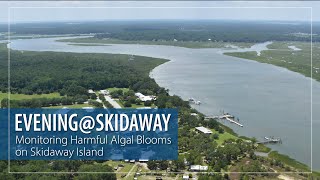 Monitoring for Harmful Algal Blooms on Skidaway Island: Dr. Natalie Cohen