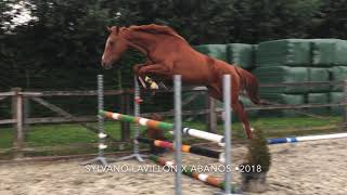 Sylvano Lavillon X Abanos