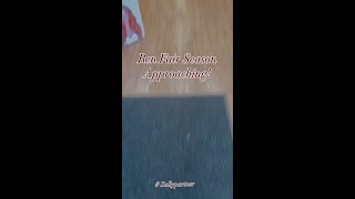 Renaissance Faire Beauty Must-Haves Fairy-Like Lashes & Shimmering Hair Fairycore