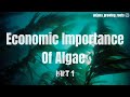 Economic Importance Of Algae | Agriculture | Algae In Medicine | Space Travel | Food &amp; Fodder