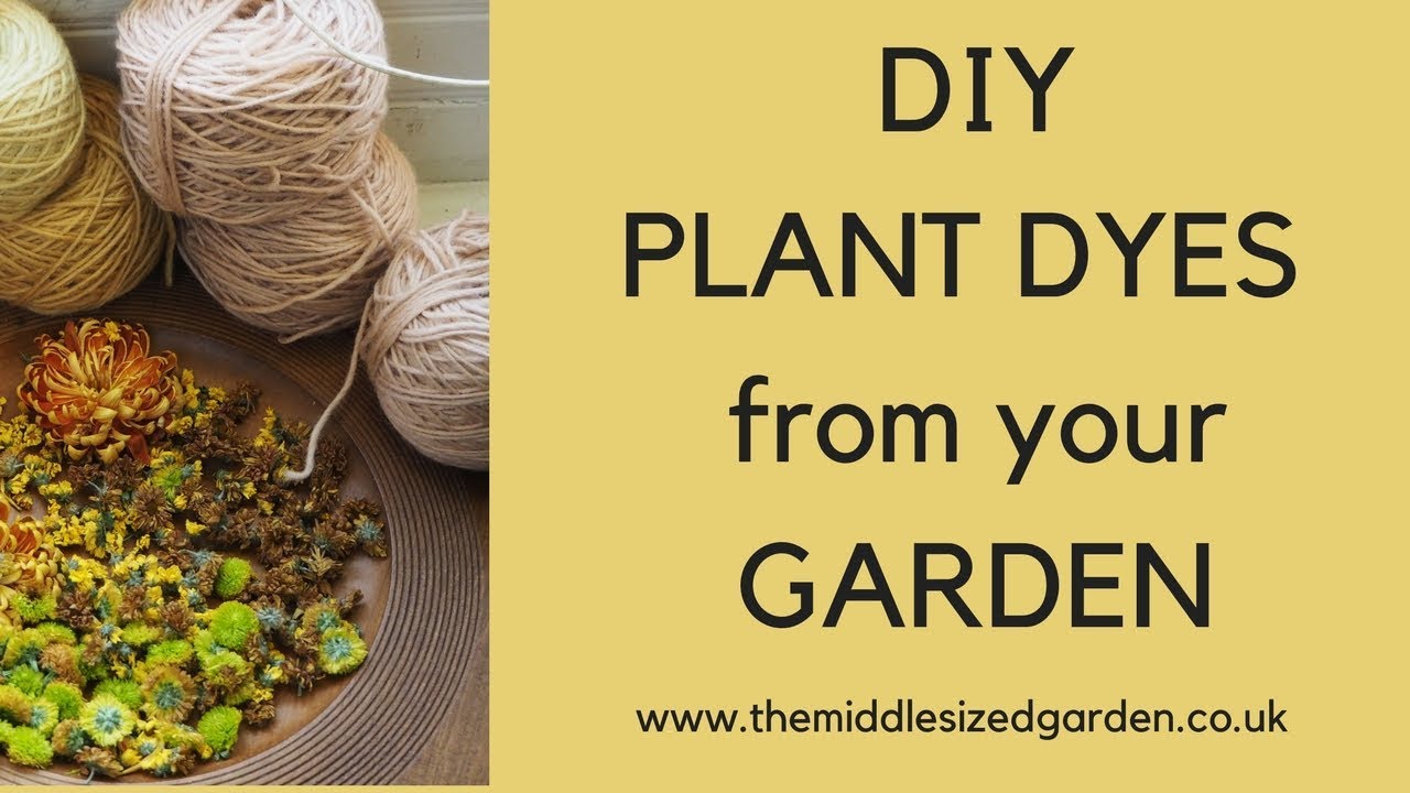 How to Dye Fabric Using Plants From Your Garden