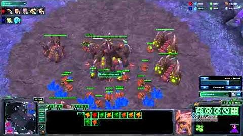 HOTS PvZ Burrow Roach Push Build #2