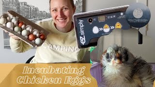 Incubating Chicken Eggs - Start to Finish