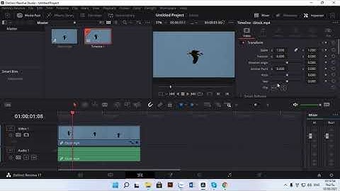 1001 cách tạo hiệu ứng trong Davinci Resolve - hiệu ứng zoomin zoomout