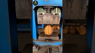 Satisfying Fruit Crush Compilation 🍉 | Hydraulic Press Power