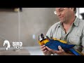 One Day Miracles | Parrot Training Program