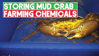 How to Store Chemicals Used in for Mud Crab Farming | Aquaculture Technology