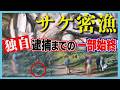 “サケ密漁”瞬間の映像　漁獲高激減のなか地元は怒り　目を疑う…犯行の実態とは　北海道