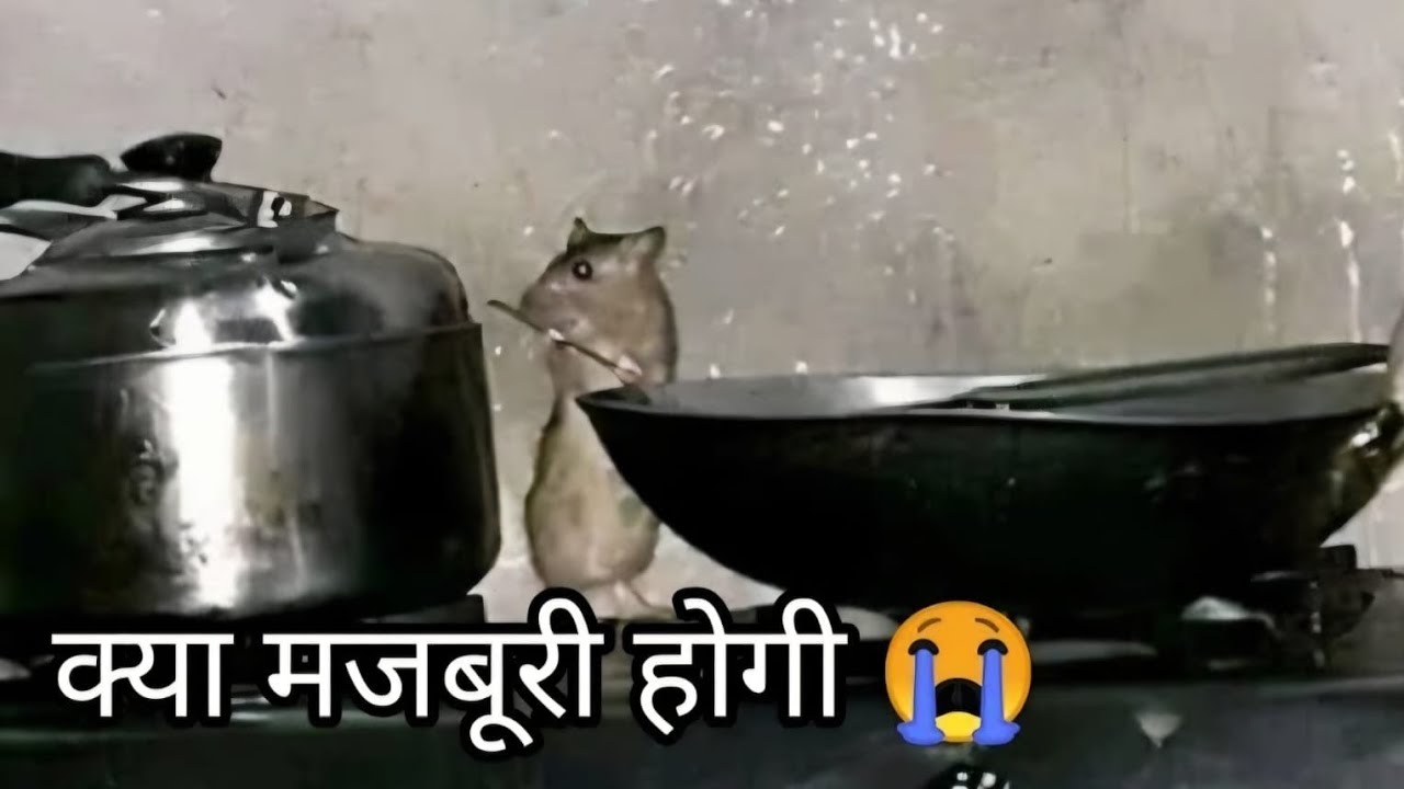 Epic Indian meme compilation pt 16