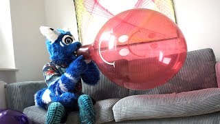 Heat-Stretched Balloons Blow to Pop