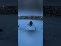 Вот это Экземпляр! |рыбалка в России | #short  #рыбалка #shorts