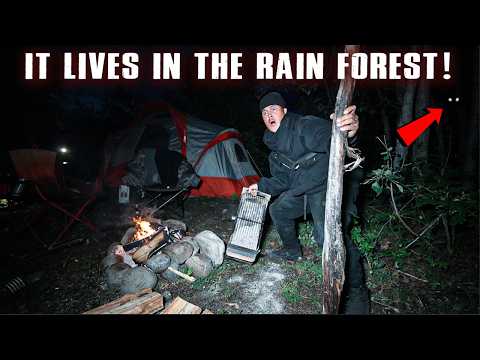 (SOMETHING HUNTED OUR SCENT!) We Were TRACKED while WILD CAMPING in a HAUNTED BOREAL RAINFOREST