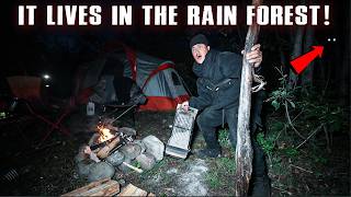 (SOMETHING HUNTED OUR SCENT!) We Were TRACKED while WILD CAMPING in a HAUNTED BOREAL RAINFOREST