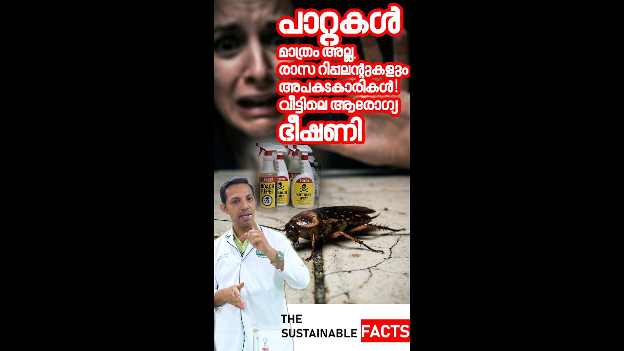 പാറ്റകൾക്കായി കെമിക്കലുകൾ? ആരോഗ്യത്തിന് ഭീഷണി! | The Sustainable Facts