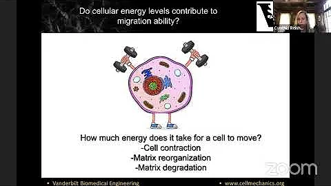 Cell Migration Seminar #24: Cynthia Reinhart-King