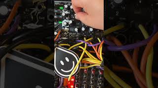 Acid Rain Technology Ripsaw - Eurorack Module on ModularGrid