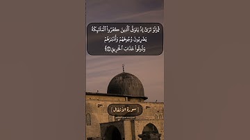 سورة الأنفال الآية ٤٩ الى ٥١ بصوت الشيخ محمد صديق المنشاوي
