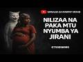 SIMULIZI YA KUSISIMUA NILIZAA NA PAKA MTU NYUMBA YA JIRANI