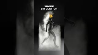 Cloth, Smoke and Hair simulation in blender