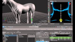 Риггинг лошади в MotionBuilder