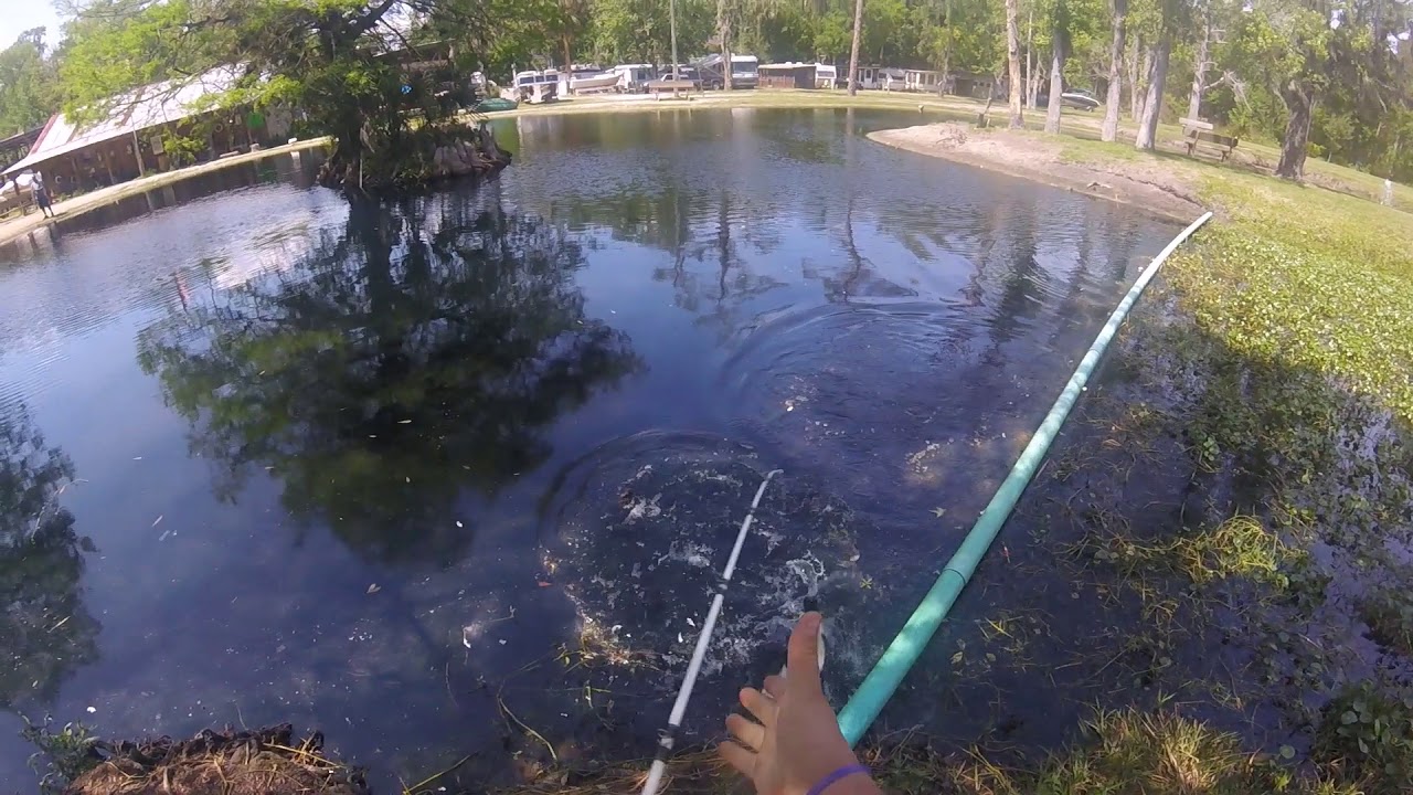 Highland Park Fish Camp