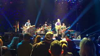 Coldplay with Peter Buck (REM) play Free Fallin', a tribute to Tom Petty