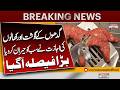 Donkey Meat &amp; Hide Policy? | What’s the Reality | Breaking News | APakistan News