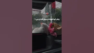 لكن لنا فيه ظن لا يخيبنا تصميمي 