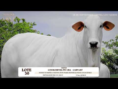 LOTE 30   COURCHEVEL FIV CBA