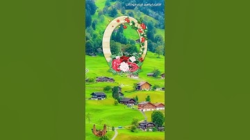 فَأَخْرَجْنَا مَن كَانَ فِيهَا مِنَ الْمُؤْمِنِين / القارئ ابراهيم شرف ابوطالب