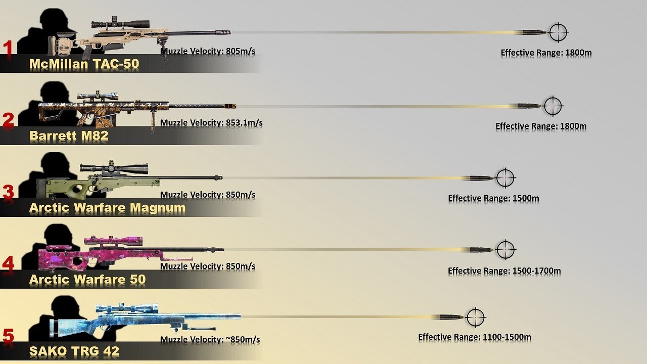 Best sniper rifles around the world.