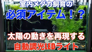 太陽が当たらない室内メダカ飼育に最適の照明！ 日の動きを自動で再現するLEDライトがかなりいい！