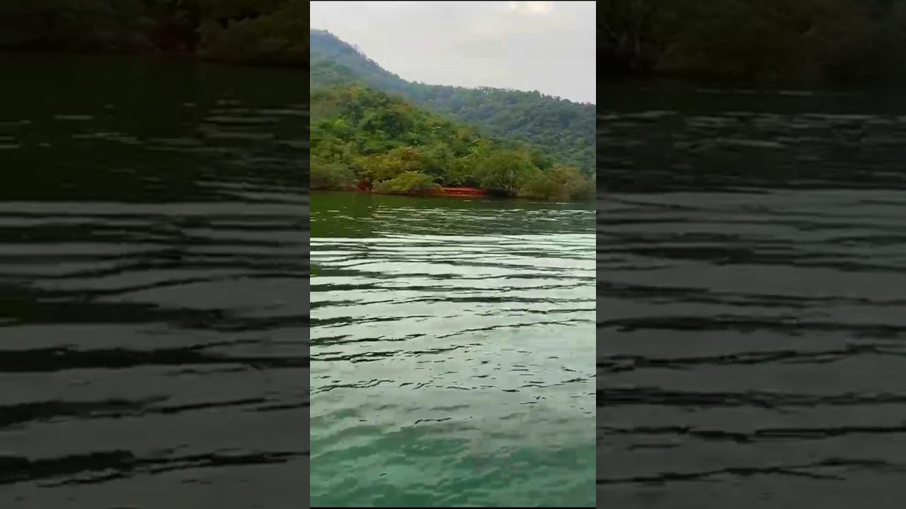 🚣🏄shivsagar koyna backwater amazing experience of my life🔥