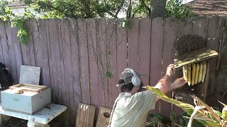 Bee Man Vs Duck Box Full Of Bees!